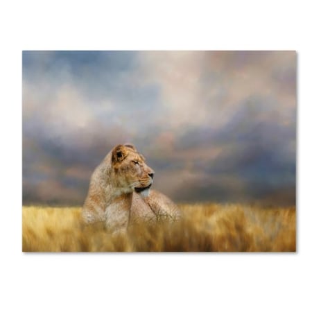 Jai Johnson 'Lioness After The Storm' Canvas Art,18x24